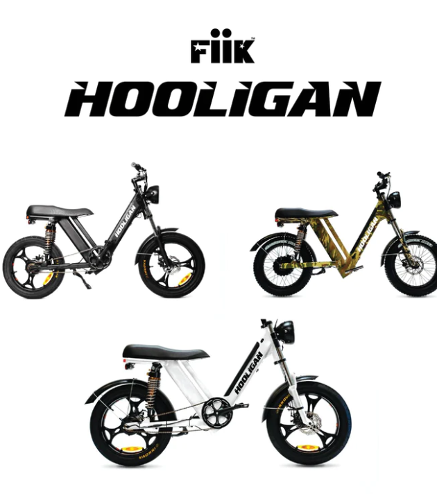 Fiik Hooligan e-Bike